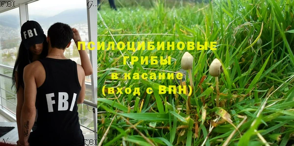 ПСИЛОЦИБИНОВЫЕ ГРИБЫ Аркадак