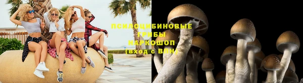 ешки Арсеньев