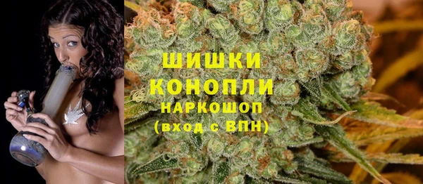 ешки Арсеньев