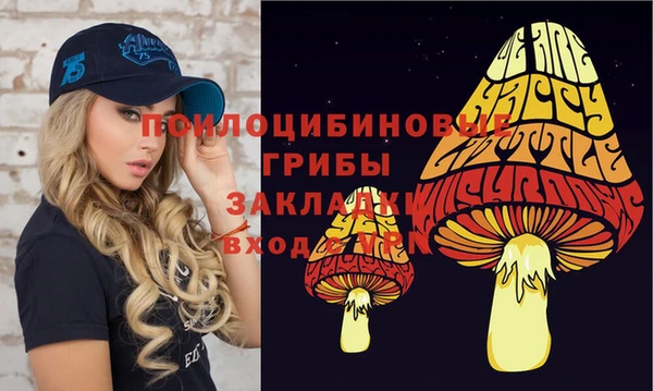 ешки Арсеньев